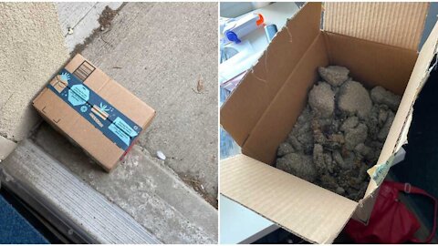 Ontarian Leaves Package Of Poop On Porch & It Apparently Got Stolen Only 40 Mins Later