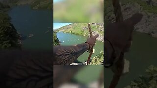 POV - 80 Foot Rope Swing to Water