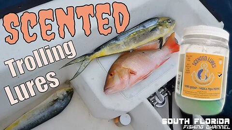 Mahi and Mutton | Using Scented Trolling Lures - Catch N Cook