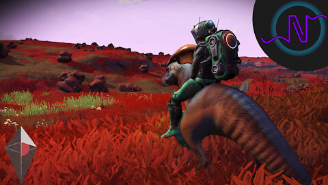 TAMING SOME PETS WITH THE NEW COMPANIONS UPDATE! - No Man's Sky Companions - E98