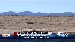 Tumbleweeds take over a town in California