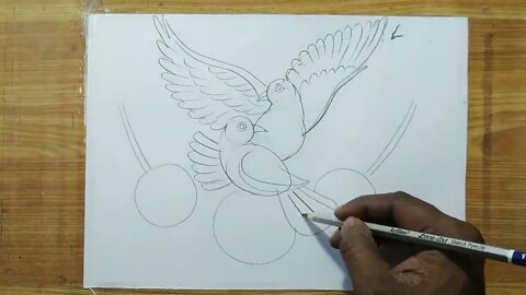 how to draw a pigeon and rose flowers with pencil sketch