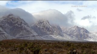 Efforts underway to protect Southern Nevada lands, cleanup events scheduled on Earth Day