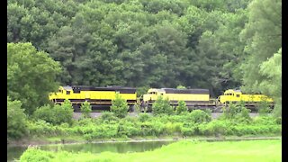 New York Susquehanna & Western Rail Road "All Yellow"