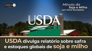 USDA divulga relatório sobre safra e estoques globais de soja e milho. Acompanhe.