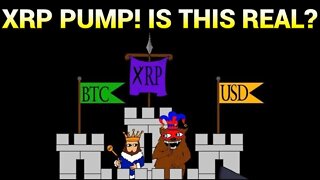 XRP Pump! Is This Real?