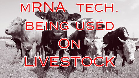Livestock Vet: Concerns for the Meat Supply