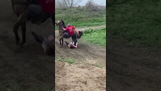 Horse Behaving Badly 😰