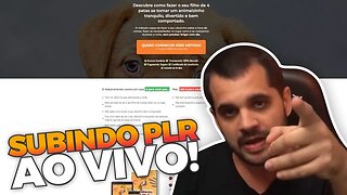 Subindo um PLR ao vivo! | Como subir um PLR | Como instalar o Wordpress