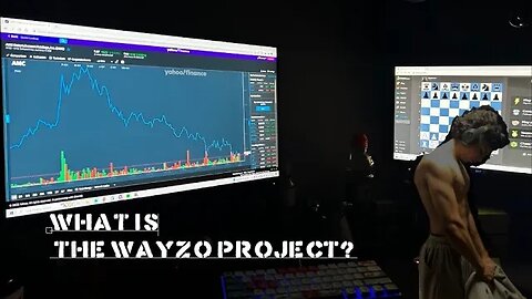 What Is The Wayzo Project?