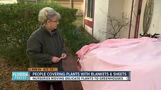 Homeowners, nurseries prepare for freeze warning by covering plants