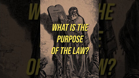 What is the Purpose of the Law? 🤔📖✡️ #shorts