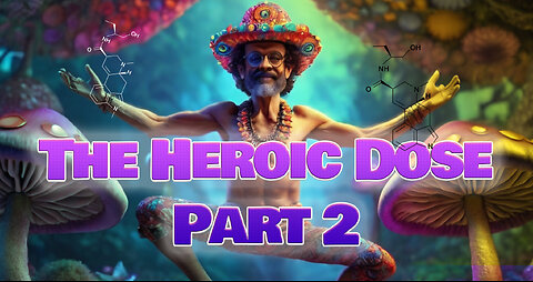 Terrence McKenna and the Heroic Dose - Part 2