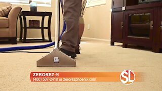 Zerorez® explains the importance of cleaning for your health