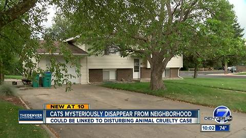 Fort Collins man arrested, accused of killing cat; police say several other cats missing in the area