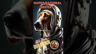 🐶 Happy National Dog Day! 🐾🎉