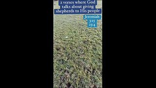 The Lord is going to give us shepherds. #jeremiah 3:15 23:4 come to Jesus #sheep #shorts #God