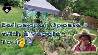 Bellpepper Update With A Tour