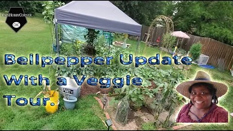 Bellpepper Update With A Tour