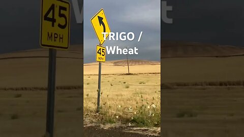 Agriculture Know where your cereal comes from. Wheat 🌾 Trigo #learning #life #english