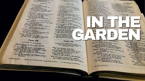 In The Garden | Derek Charles Johnson