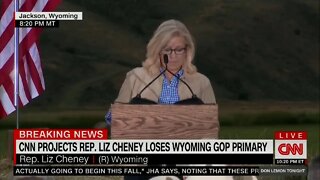 The hilarious concession speech of Liz Cheney