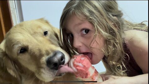 Big dog and little girl sharing food