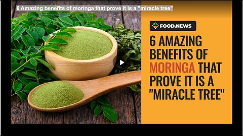 6 Amazing benefits of moringa that prove it is a "miracle tree"