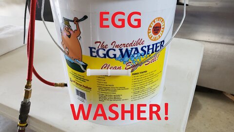 The Egg Incredible Washer