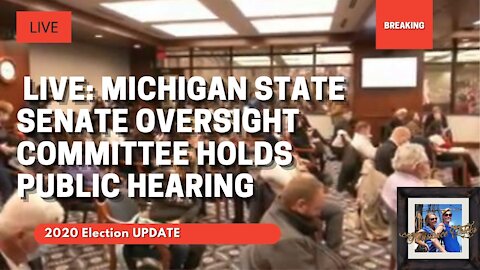 🔴 LIVE: Michigan State Senate Oversight Committee Hearing Afternoon