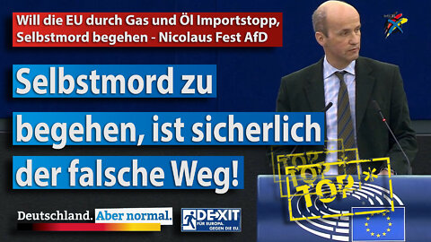 Will die EU durch Gas und Öl Importstopp, Selbstmord begehen - Nicolaus Fest AfD