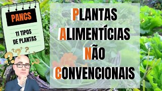 PANCS - PLANTAS ALIMENTÍCIAS NÃO CONVENCIONAIS | VOCÊ CONHECIA?