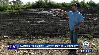 More farmers fear spring harvest may be in jeopardy.