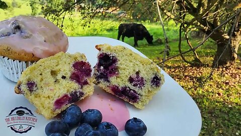 Blueberry Muffins - How to make Blueberry Muffins - 100 Year Old Recipe - The Hillbilly Kitchen