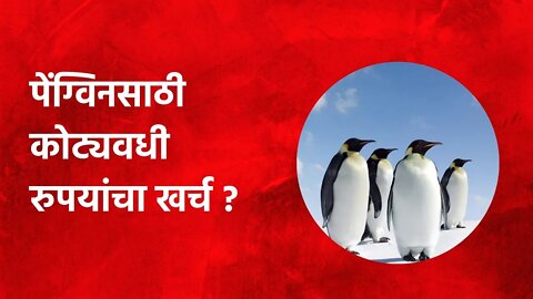 Mumbai News: पेंग्विनसाठी कोट्यवधी रुपयांचा खर्च ? | Politics | Maharashtra | Sarakarnama