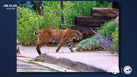 Here are the best Colorado photos of the week from our Denver7 viewers, Aug. 4 through Aug. 11, 2023