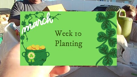 Week 10 Planting