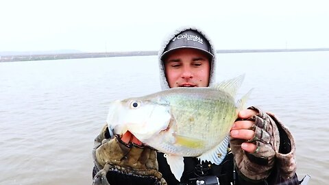 Illinois Tour 1: Caught my NEW PB on a Classic Crappie Bait!