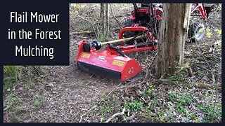 Flail Mower Mulching Trails & The MINI CLIP Tree Shear