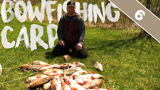 CARP DIEM - Bowfishing 25 Carp, Minnesota