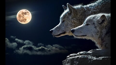 Red Full Moon in Aries ~ ACTIVATE MY INNER WARRIOR ~ The Magic Moon of Awakening
