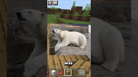 Polar Bear in the Bath