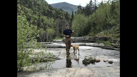 Memorial Day 2021 Tribute Hike