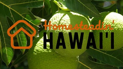 Homesteadin' Hawai'i: An Off Grid Resource For You