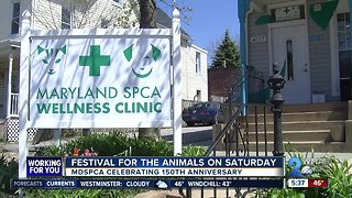 2019 Festival for the Animals celebrates the Maryland SPCA's 150th anniversary