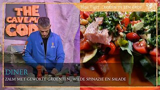 Diner: Zalm met gewokte groenten en wilde spinazie salade.