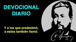 Y a los que predestinó, a estos también llamó. (Romanos 8:30) Devocional de hoy Charles Spurgeon