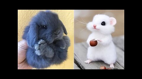 Cute Baby Animals Videos Compilation | Funny and Cute Moment of the Animals #6