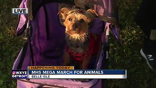 MHS Mega March For Animals