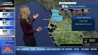 Frost Advisory in effect for some Tampa Bay area counties